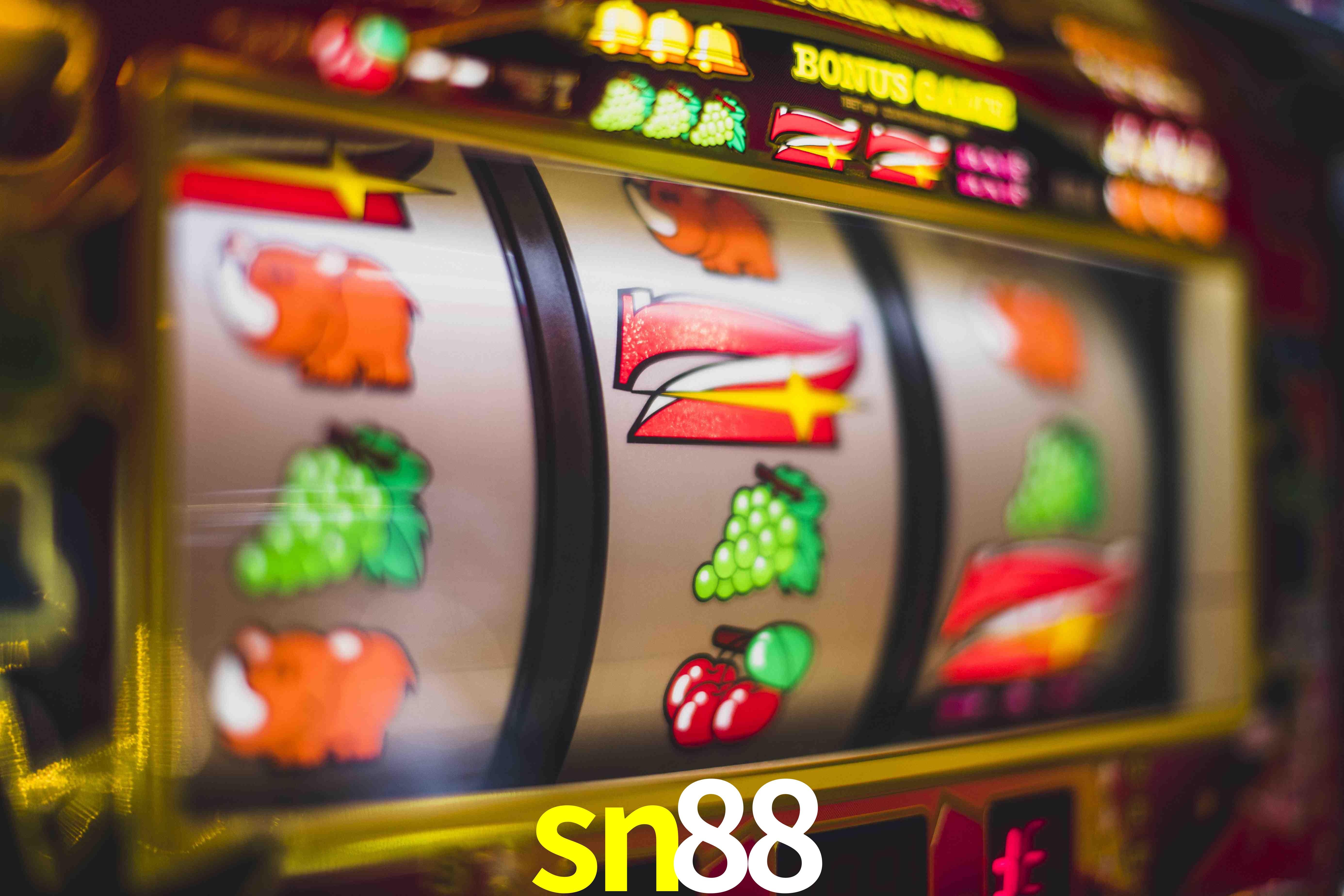 VIP Casino sn88